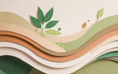 Cheap Online Printers vs. Printers That Care: Why Print4UK is the Right Choice for Quality and Sustainability